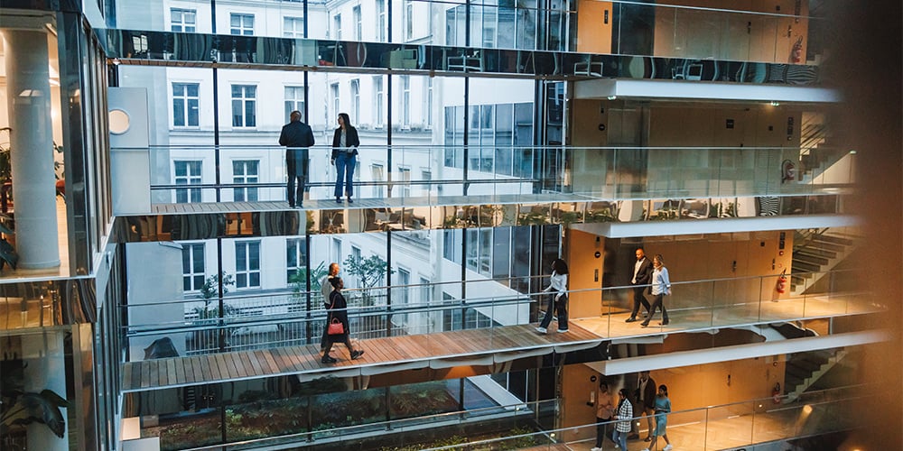 insight featured image