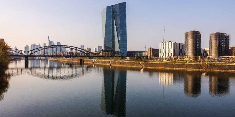 insight featured image