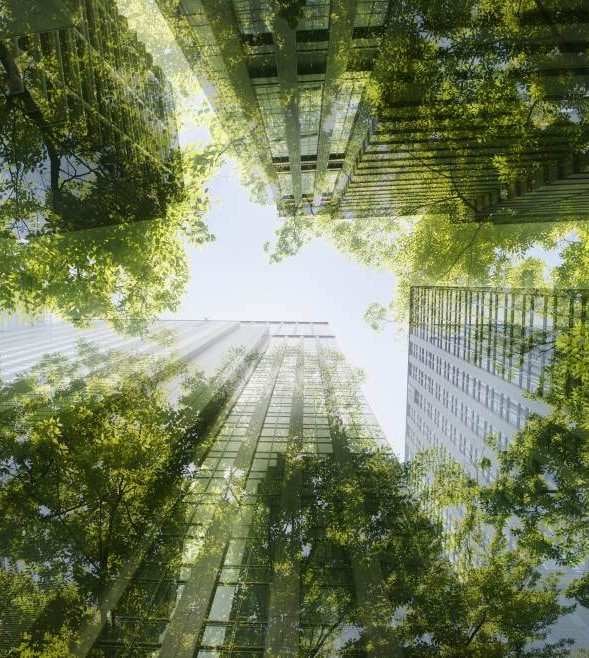 Sustainability linked loans: practical insights from experience