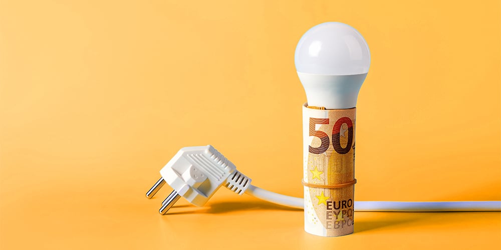 insight featured image