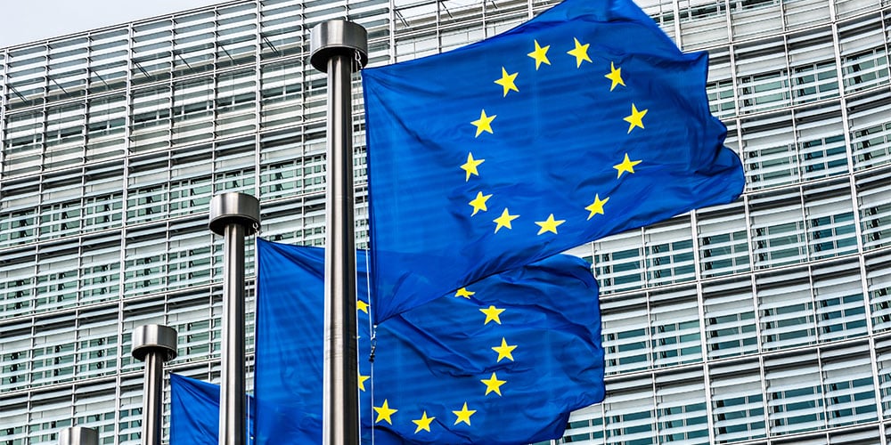 insight featured image