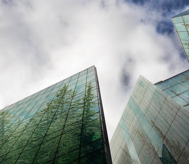 Integrating sustainability risks in insurance governance