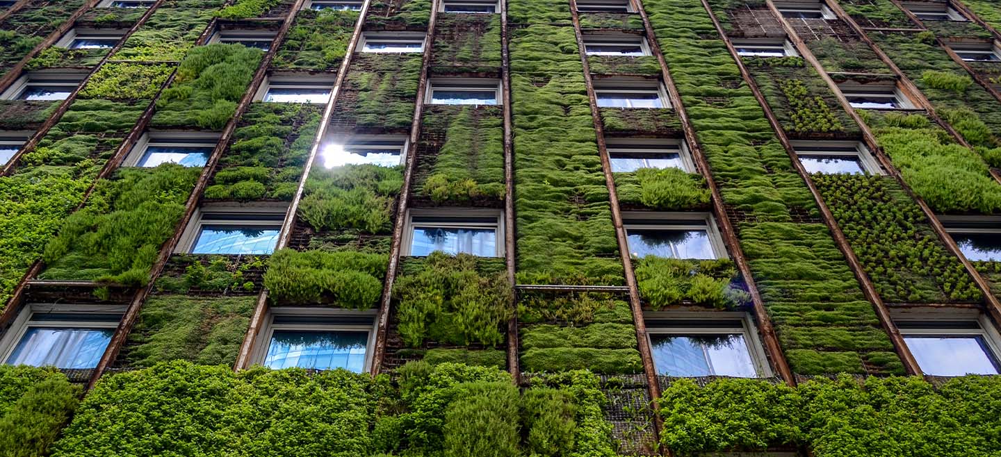 Sustainability at Grant Thornton