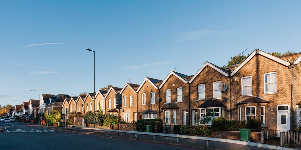 insight featured image