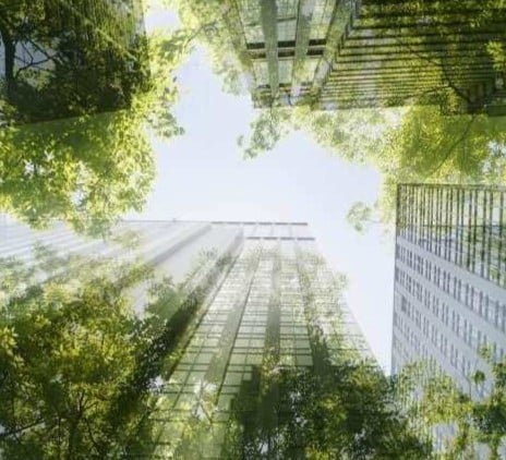 Sustainability linked loans: practical insights from experience