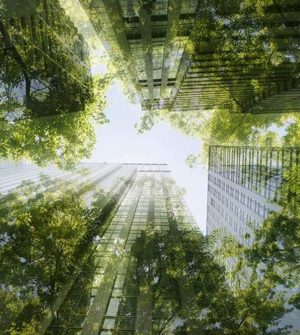 Sustainability linked loans: practical insights from experience