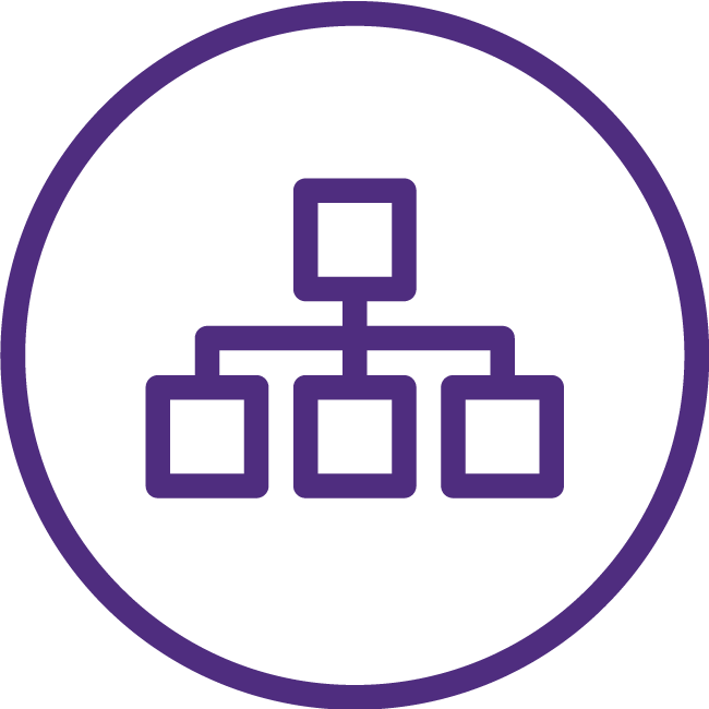 Build internships and apprenticeship programs with academic institutions

