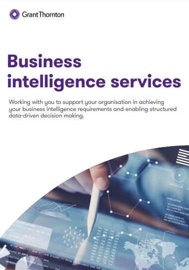 Business Intelligence services