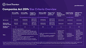 Companies Act 2014 Size Criteria Overview