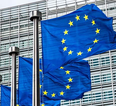 Supervisory Review & Evaluation Process (SREP) Support for Investment Firms