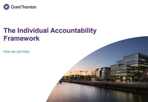 Download: The Individual Accountability Framework