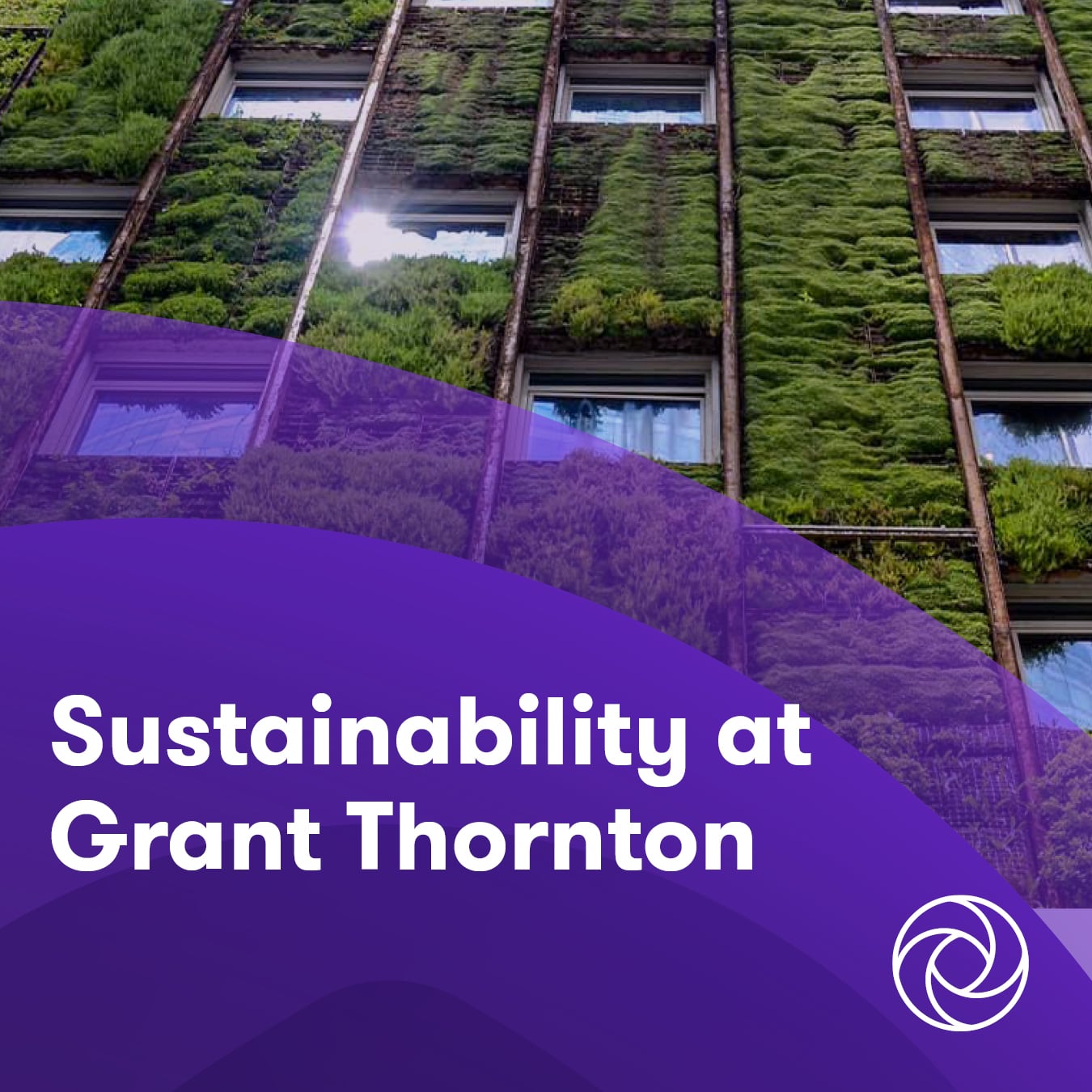 Sustainability | Grant Thornton
