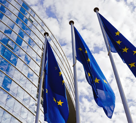 EU Artificial Intelligence Act: What businesses need to know